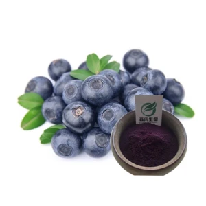 100% pure Natural Blueberry Extract Water soluble  Blueberry powder