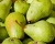 Import Quality Fresh Pears for sale from Ukraine