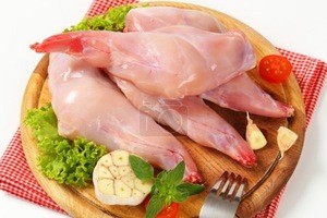 Rabbit Meat Frozen Whole Rabbit Meat , Frozen Rabbit Meat and Part
