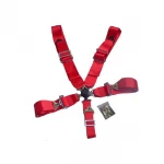 Red 5 Point Harness for Racing Car