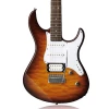 Roasted Maple Neck Electric Guitar Electric Guitar String Ernie Ball Floyd Rose Electric Guitar