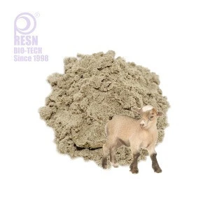 Ruminant Animal Chinese Herbal Radix Curcumae Medicine Treating Intestines and Stomach