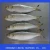 Import Seafood Frozen Whole Round Herring Sardine Fish from China
