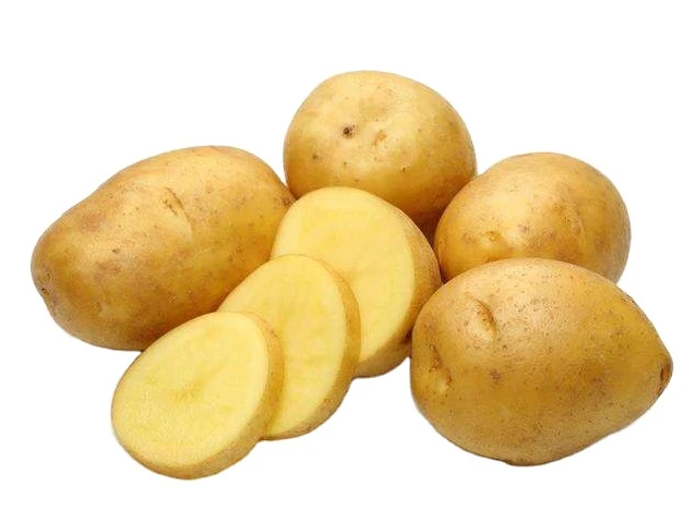 Sell High-Quality Wholesale High Quality  Modified Potato Starch