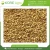 Import Sesame Seed 100% High End Pure Quality Natural Protein Enriched Best Selling Oil Seed Buy At Competitive Market Price from India