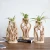 Shengqu decorative natural wood stand plant table glass test tube flower hydroponic vase for home decor