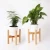 Import Shusenlin Flower Pot 15Cm Wood Stand Mirror from China