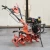 Import Small Farm Equipment Centrifugal Gear Transmission Hand Push Cultivator Multi Purpose Power Tiller from China