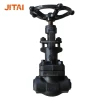 Small Forged Steel Socket Welded API 602 Gate Valve for Vacuum