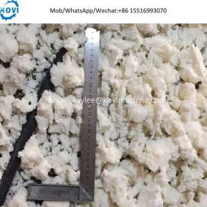 Small Sponge crusher shredder foam crushing machine price