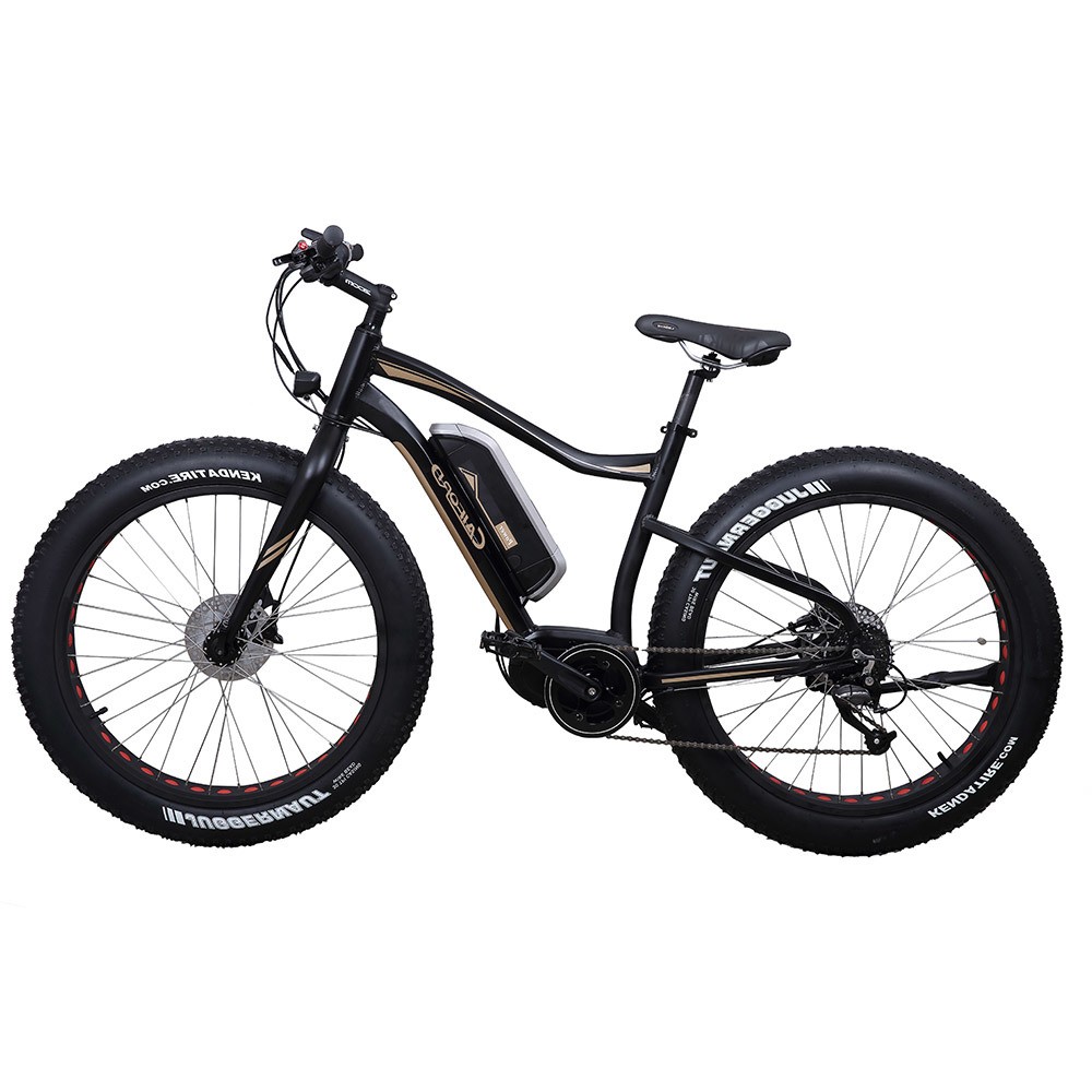 Smart Display 250-1000W Mountain Tyre Electric Moped Sepeda Listrik Ultra Light Mountain Bicycle Electric Bicycle Ebike