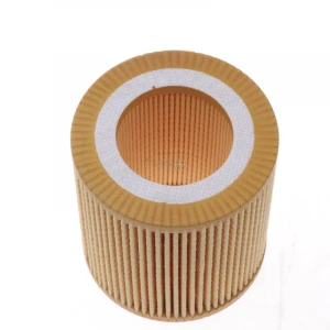 Spare Parts Engine Oil Filter 11 42 7 566 327 OEM Auto Oil Filter ForBMW