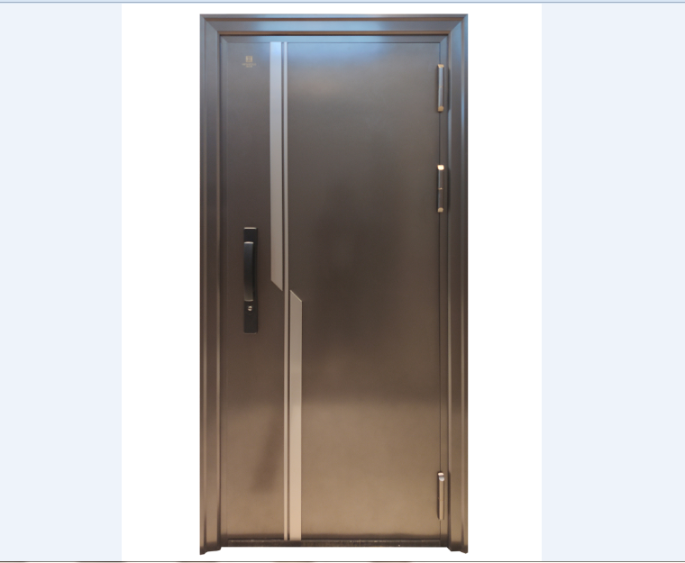 Stainless steel entry door