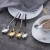 Stainless Steel Silver Plated Stylish Custom Silverware Flatware Cutlery Set