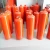 Import Steel Material Customized Fire Fighting 1kg Dry Powder Car Fire Extinguisher Cylinder from China