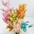 Import summer flora Nature flower touch real artificial flower for home decoration dried flower lagurus from China