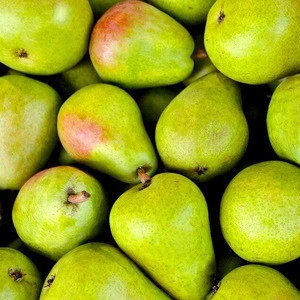 Super Sweet Fresh Pears Fruit