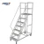 Import Supermarket Warehouse Steel Movable Platform Ladder Cart Handrail Heavy Duty Ladder Retail Home Use Manufacturing Plant from China