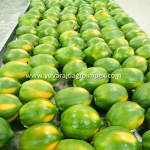 Supplier/Exporter of Fresh Fruit Papaya
