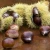 Import sweet chestnut good quality organic roasted chestnuts with shell from China