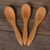 SZ05 Natural reusable household bamboo ice cream scoop mini bamboo scoop tea honey powder scoop