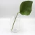 Import Tabletop clear plastic flower vase from China