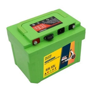 TAICO 48V 1000W Electric Scooter Motorcycle Battery 48V 30Ah