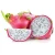 Import Top Quality dragon fruit pitaya rich vitamin A from Vietnam