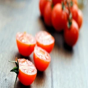 Top quality fresh red cherry tomato with high quality for sale