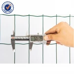Top Sale ISO Certificate Best Discount Personalized galvanized welded wire mesh roll 16 gauge Factory China