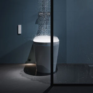 transparent Floor Mounted bathroom sanitary ware smart toilet sensor