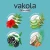 Import Vakola Shampoo from India