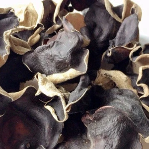 VIET NAM DRIED BLACK FUNGUS HIGH QUALITY (WHATSAPP +84 3 76540581)