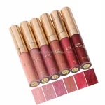 Waterproof private label LipStick Cosmetics Long Lasting Lipstick