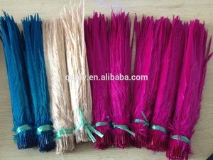 white color ringneck pheasant feathers