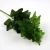 Import Wholesale best quality artificial Indoor outdoor green ornamental foliage plants from China