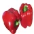Import Wholesale Capsicum / Fresh Capsicum Vegetable / Fresh Bell Pepper USA from China