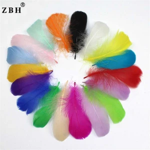Wholesale Cheap Beautiful Natural Dyed Goose Feather
