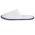 Import Wholesale cheap indoor embroidered white hotel coral plush slippers from China