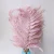 Import wholesale flower DIY material eternal fern flower preserved fern leaves for floral arrangement from China