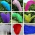 Import Wholesale Natural Decorative All Colors Ostrich Feathers from South Africa