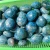 Import Wholesale Natural Polished Blue Apatite Palm Stones crystal healing stones for massage from China