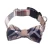 Import Wholesale Pet Ties Bow Ties Cat Neckties Dog Scarf Bandana Beautiful Dog Bow Tie Accessories from China