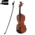 Import Wholesale Plastic Can Play Children Violins/Childrens Instruments/Gift Instruments from China