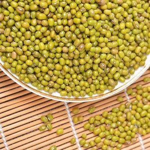 Wholesale Premium Agriculture Organic Dried Green Mung Bean