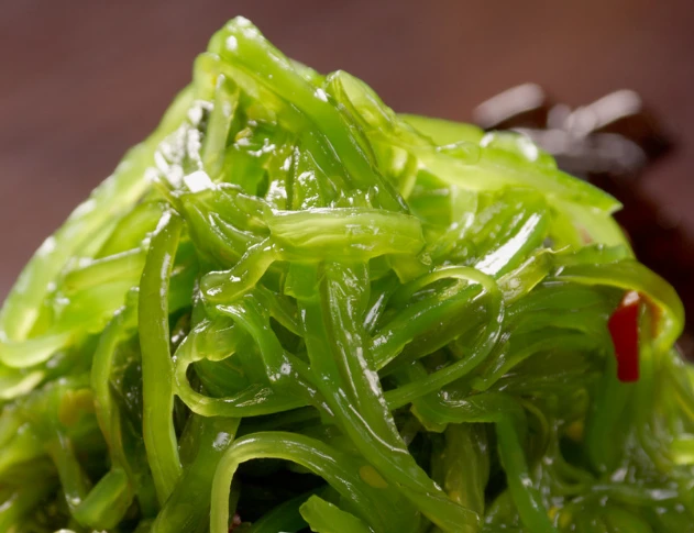 Wholesale  seaweed salad  Japan frozen chuka wakame seasoned  seaweed salad
