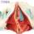 Import YIXIN/2020 New Product Female Pelvis Model with Color and Numbered for Medical Science from China
