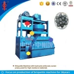 ZHONGZHOU DRI Iron Ore Powder/Dust Briquetting Machine