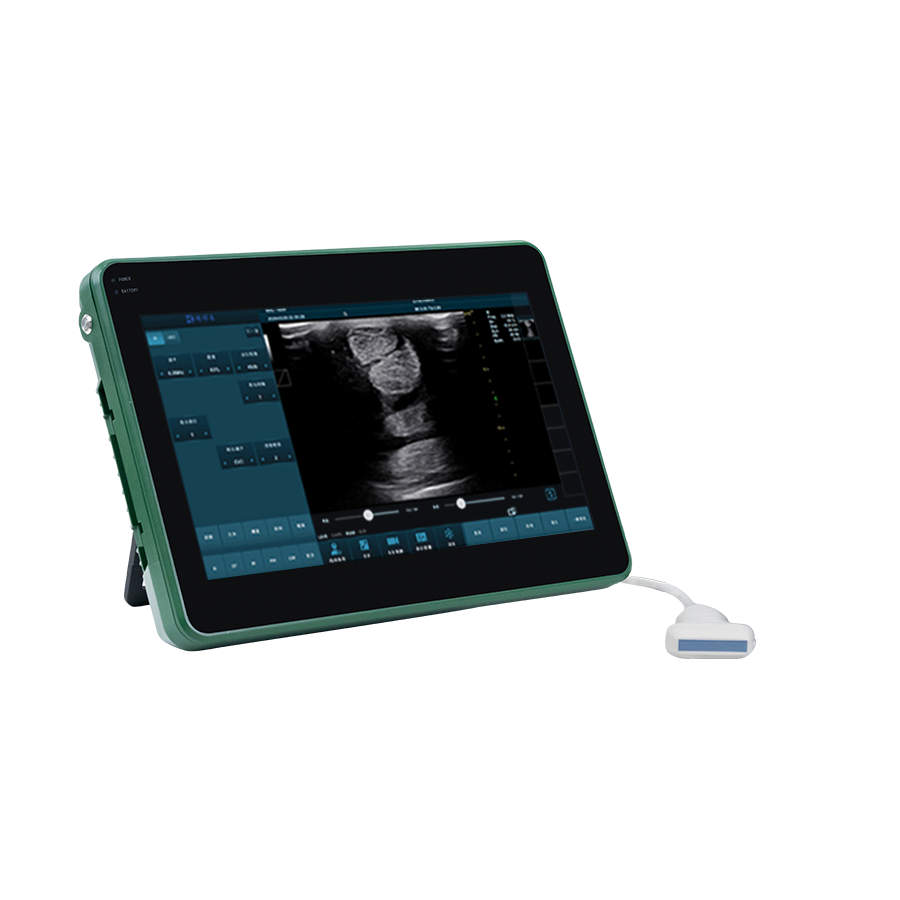 Portable Pig Backfat and Loin Muscle Ultrasound System