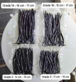 Vanilla bean from Indonesia
